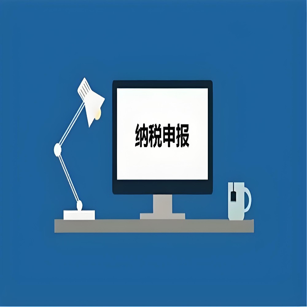 纳税申报代理业务指引（试行）
